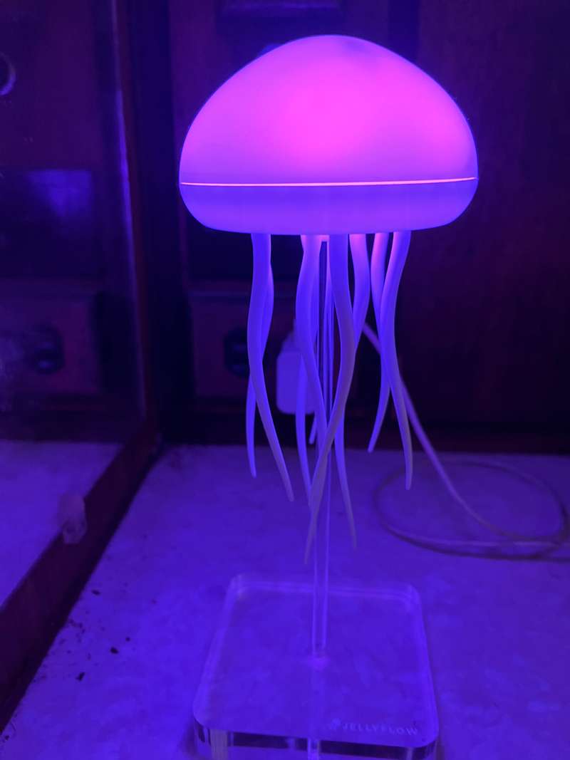 LumenKwal™
